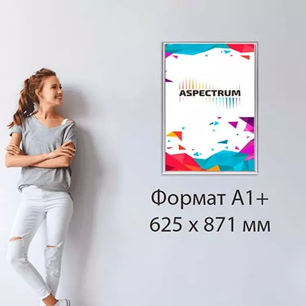FrameLight А1 (630 x 877 мм)