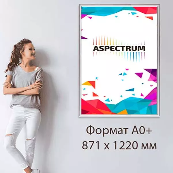 FrameLight А0 (877 x 1225 мм)