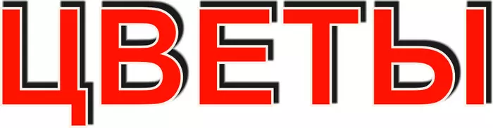 Вывеска ЦВЕТЫ