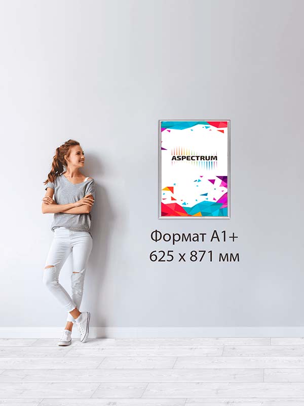 FrameLight А1 (630 x 877 мм)