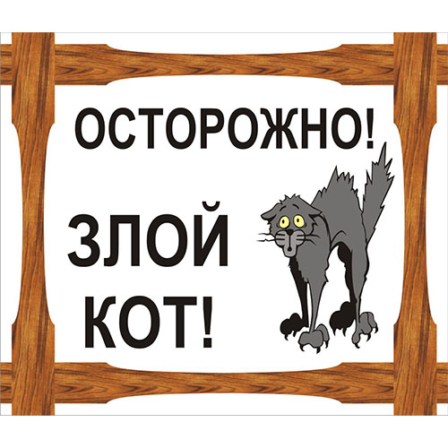 "Осторожно злой кот"